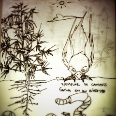 11 Un Paseo Por Lorenzo.- Zelou, Wessone, Conejo,  LvL,  Zeta ,RastatanZurstunt (Paicabeat)