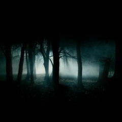 La Perche -  Welcome In My Darkness [Live]