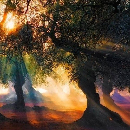 La Perche - DarkPsytrance Set