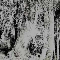 Hebik, polvo de letras