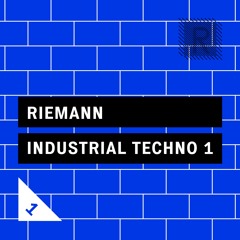 Riemann Industrial Techno 1 DEMO SONG (24bit WAV Loops & Sounds)