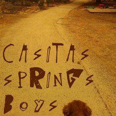 Casitas Springs Boys