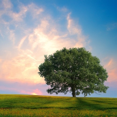 S I L E N C E' S    E X P E R I M E N T