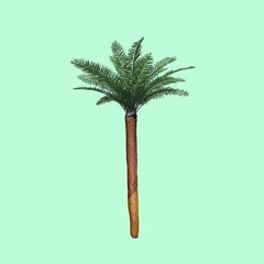 Instrumentals