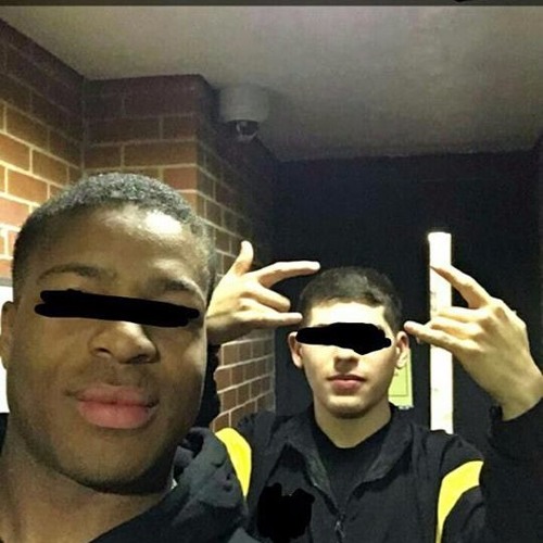 Stream DroMount Siani remix by KamiDro 🦖 Listen online for free on