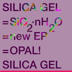 Silica Gel - Neo Soul (Johann Electric Bach 1987 Remix)