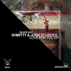 Shmitty & Josh Sturges - Love For You (Brennen Grey Remix)