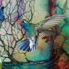 My Dreams Solstice New Years 2017