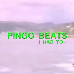 pingo - i had to (free download)