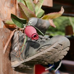 Arriba la Isla - RAW at Isla del Sol/ Titicacalake