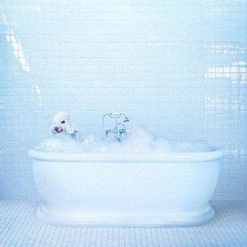 Frankie Cosmos - Jesse
