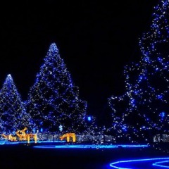 Carol Without Bells