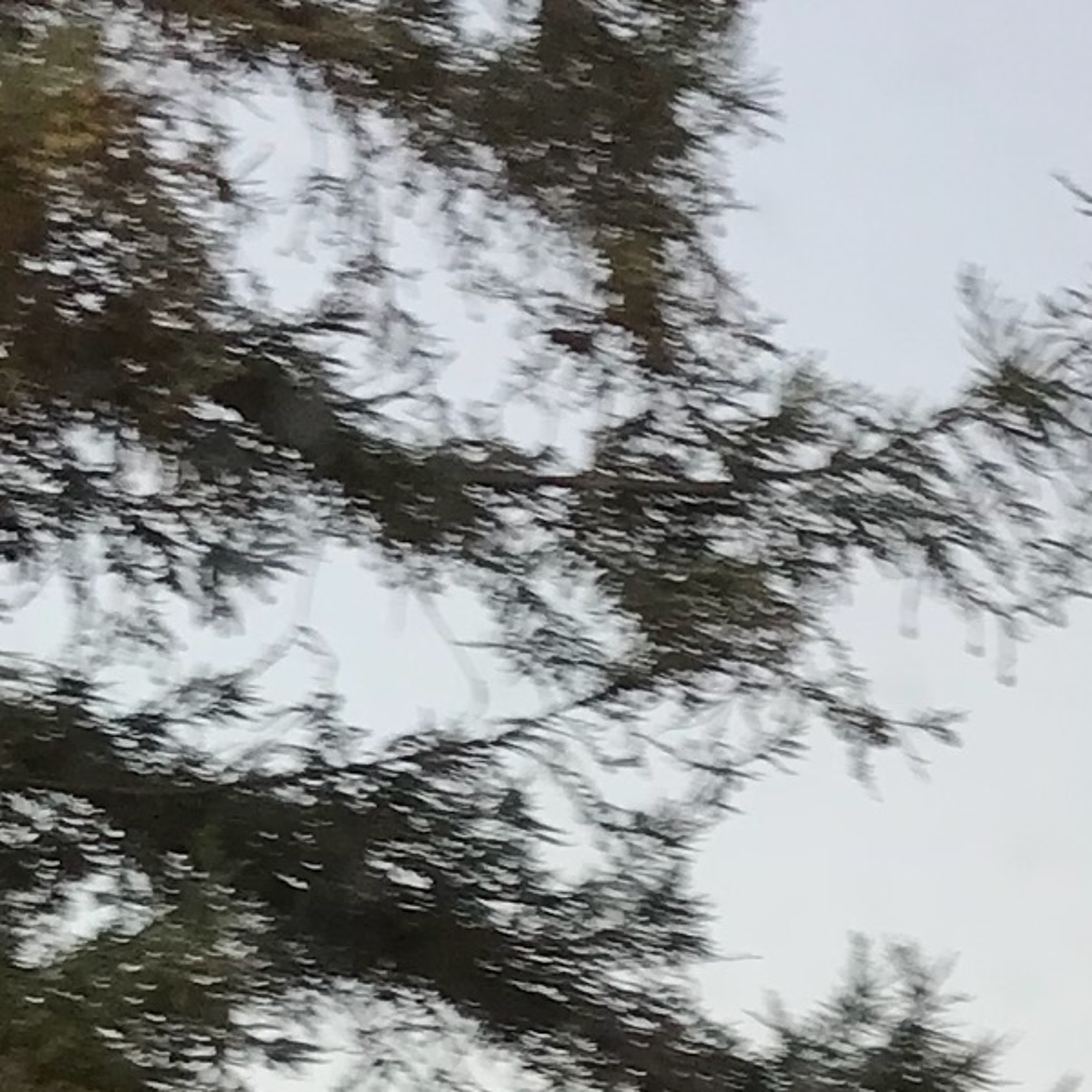 cell testing thumbnail