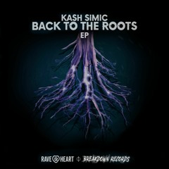 Kash Simic - Switch [Raveheart x Breakdown Records]
