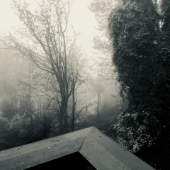 Intro/Barreling Onward