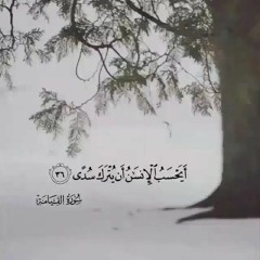 أَلَيْسَ ذَٰلِكَ بِقَادِرٍ عَلَىٰ أَن يُحْيِيَ الْمَوْتَىٰ(القيامة)الشيخ : عبد الرحمن العوسى