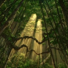 DeepJungle