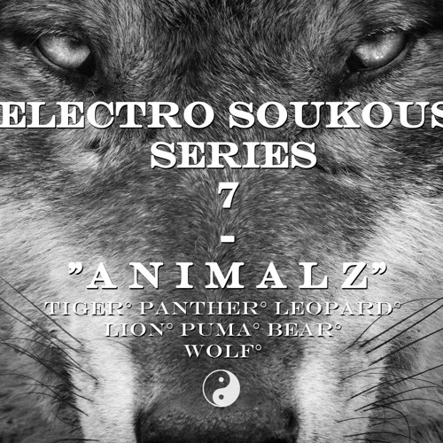 LeoKarlo - Puma