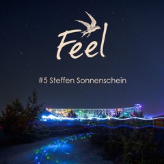 Feel Musik #5 - Steffen Sonnenschein