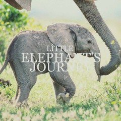 Herhangi - Little Elephant's Journey