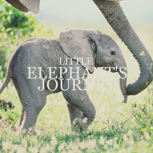 Herhangi - Little Elephant's Journey