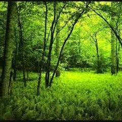 Theta wave binaural strings meditation track 6Hz