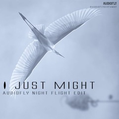 Ryan Adams - I Just Might - Audiofly Night Flight Edit