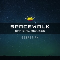 Sebaztian - Spacewalk (ft William Taylor & Progley)(Ben Walter Remix) 1st place