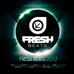 FRESH BEATS 2017 COMPILATION (OFFICIAL PREVIEW)