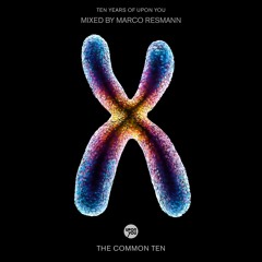 10 YEARS UPON YOU - THE COMMON TEN compiled & mixed by Marco Resmann