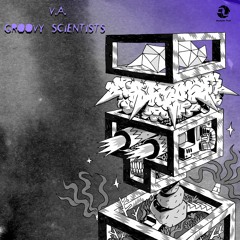 Lowboys, Alex Costa - Outlaw (Original Mix)