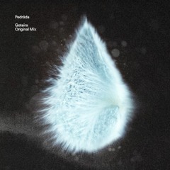 Pedrada - Goteira (Original Mix) [ FREEDL ]