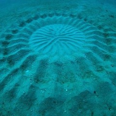 Submerged (ft. Clouds Local & Griffith)