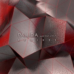 Pallida - Wer Bin Ich? (Muggi Dane Remix) Techgnosis Records