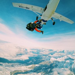 Back by Popular Demand