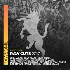 RAW CUTS 2017 V/A (Out Now)