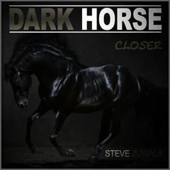 Closer - Steve Zuwala