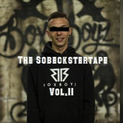 Affen Trouble-  SobecksterTape Vol.2