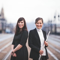 Sonate Arpeggione, 1er Mvt - Franz Shubert - Duo Gabrielles