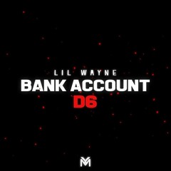 Lil Wayne - Bank Account (Remix)