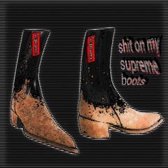 shit on my supreme boots