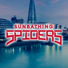 Tchami Untrue Vs Sunbathing Spiders Untrue