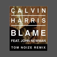 Calvin Harris ft. John Newman - Blame (Tom Noize Remix) - Free Download