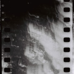 THE NEW UNFORGETTING: PERFORMANCE FOR SIX ELK Quintan Ana Wikswo - 122217