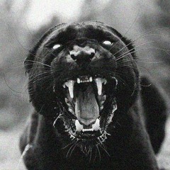 A ballad for when you're Roy