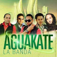 Aguakate La Banda - Ay Nena (La Cosa Difícil)#2011