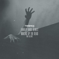 TWO OWLS Feat. Elle Vee - Waking Up The Dead (Harley Knox Remix)