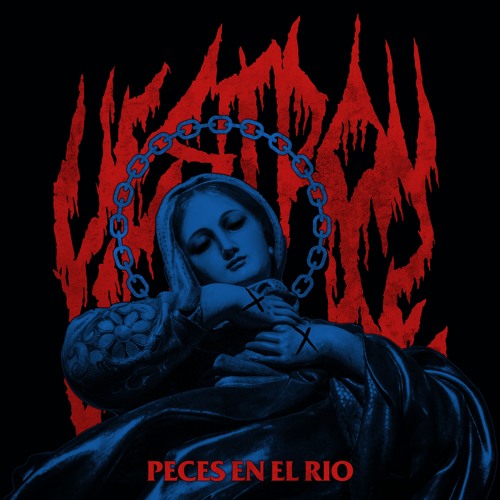 Peces En El Rio