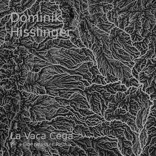 Dominik Hisslinger - La Vaca Cega (Original Mix)