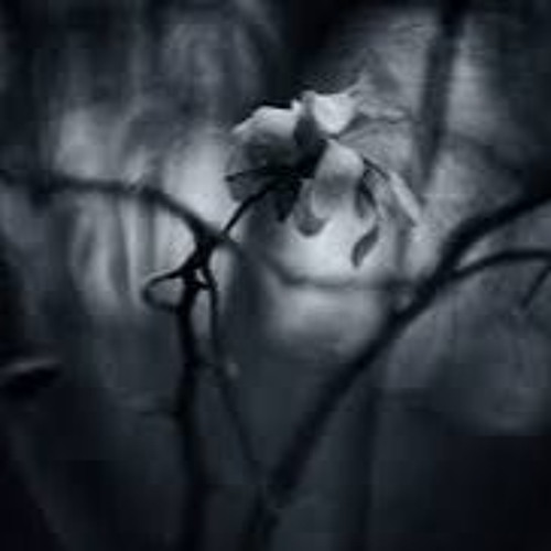 Ekko  - In the Darkness